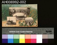 藏品(明治四十三年六月十七日第十五回始政紀念明信片)的圖片